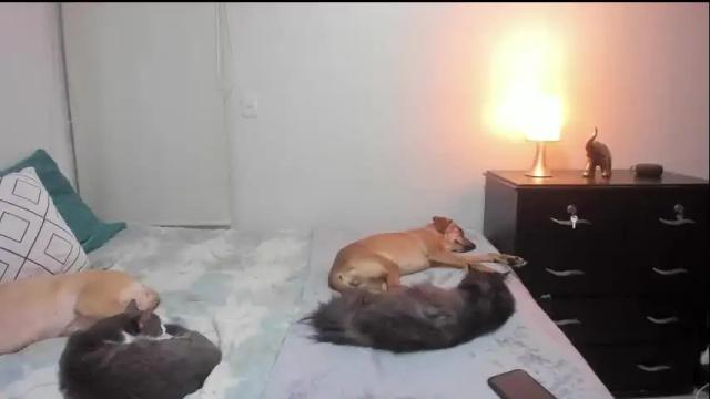 Thumbnail 2, isabelprietoo's Stream at Chaturbate, 1 month ago