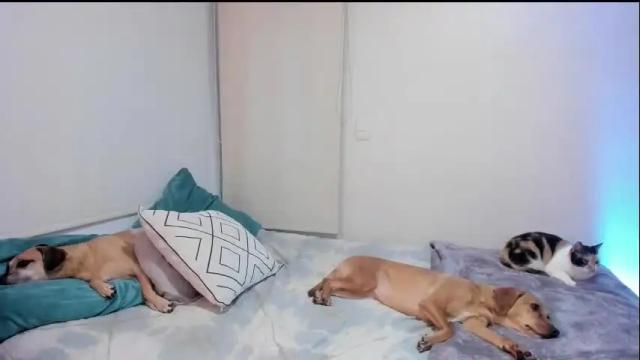 Thumbnail 1, isabelprietoo's Stream at Chaturbate, 1 month ago