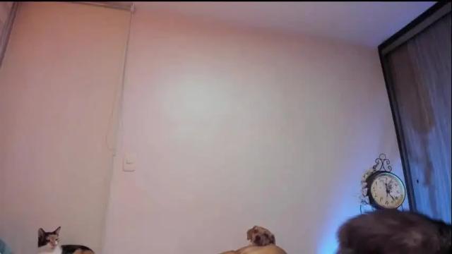 Image 11 of isabelprietoo Stream on Chaturbate on 23 days ago