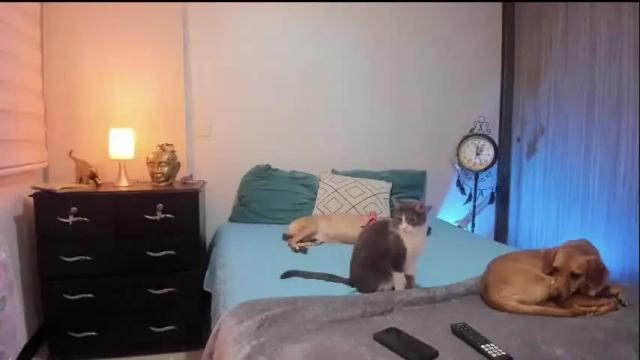 Image 10 of isabelprietoo Stream on Chaturbate on 13 days ago