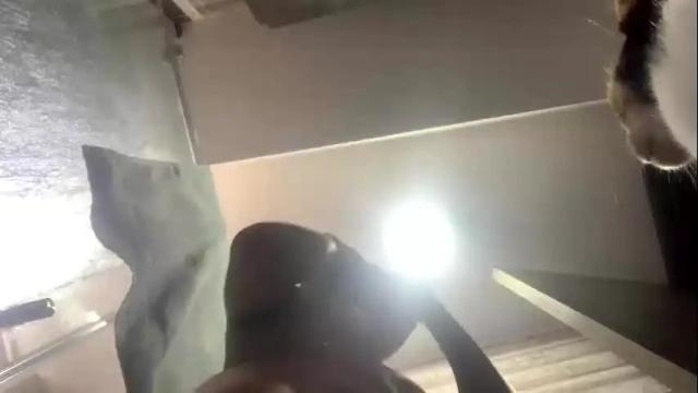 Image 3 of isabelprietoo Stream on Chaturbate on 1 month ago