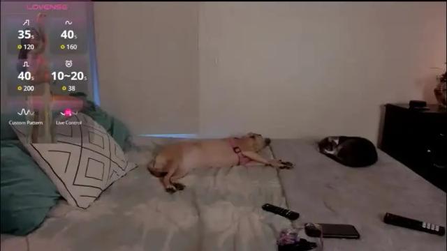 Image 10 of isabelprietoo Stream on Chaturbate on 10 days ago