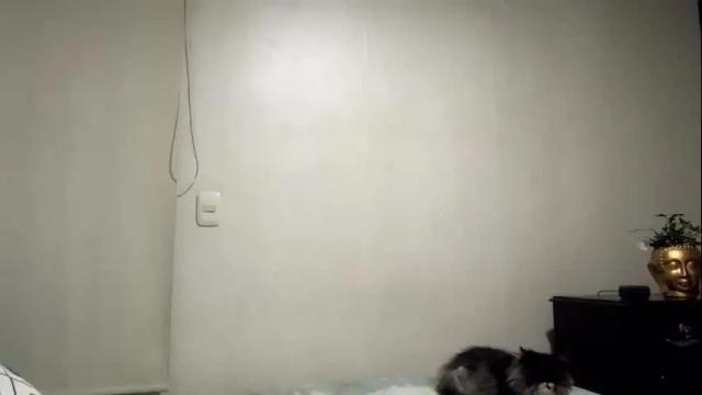 Thumbnail 2, isabelprietoo's Stream at Chaturbate, 1 month ago