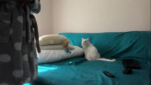 Thumbnail 3, issabelle_69's Stream at Chaturbate, 1 month ago