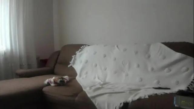 Image 10 of issabelle_69 Stream on Chaturbate on 8 days ago