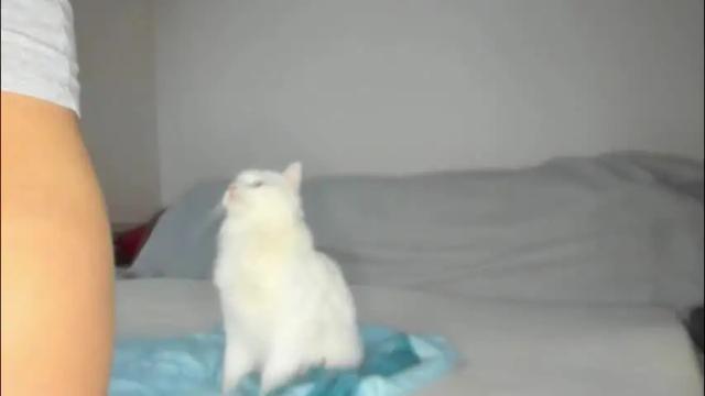 Thumbnail 1, issabelle_69's Stream at Chaturbate, 3 days ago