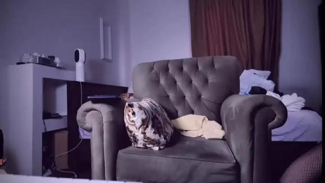 Image 2 of itsmelodica92 Stream on Chaturbate on 25 months ago