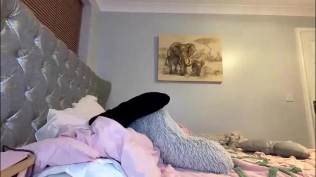 Image 6 of itsmelolax Stream on Chaturbate on 11 hours ago