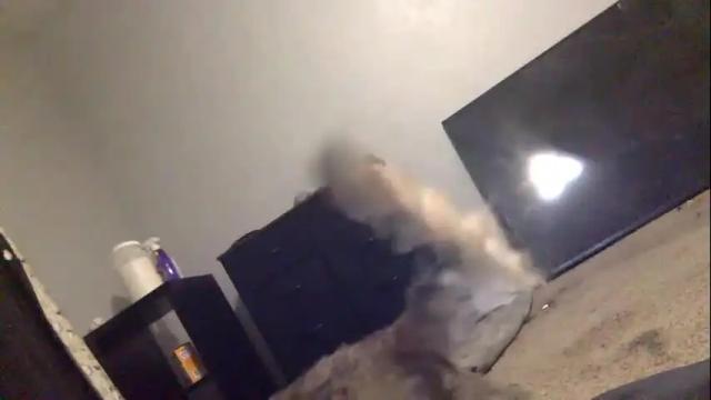 Thumbnail 1, iysisfv's Stream at Chaturbate, 1 month ago