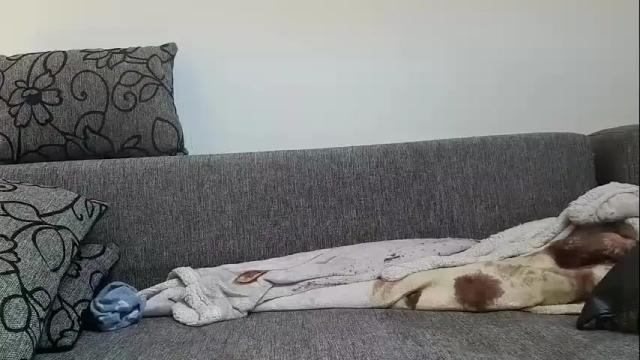 Image 12 of jacksteel9296 Stream on Chaturbate on 12 months ago