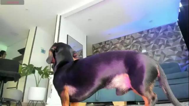 Image 12 of jade_porn Stream on Chaturbate on 14 days ago
