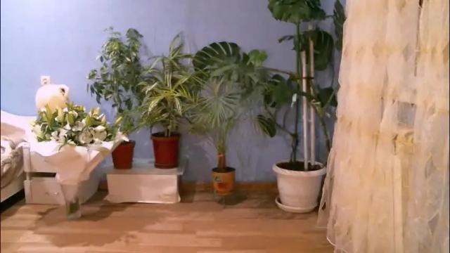 Image 2 of jane_bloempje Stream on Chaturbate on 1 month ago