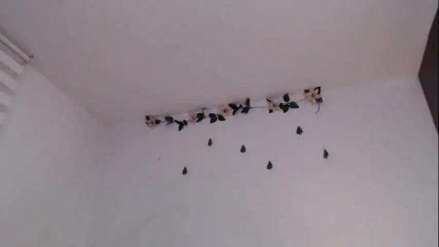 Thumbnail 3, jane_r's Stream at Chaturbate, 25 days ago
