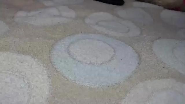 Image 4 of janeemilf_ Stream on Chaturbate on 14 months ago