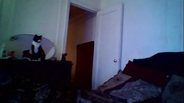 Thumbnail 2, jaslanimirajts's Stream at Chaturbate, 2 months ago