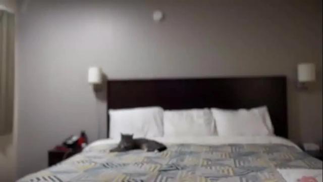 Thumbnail 1, jasmine_worship's Stream at Chaturbate, 11 days ago