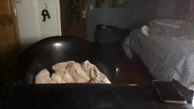 Thumbnail 1, jbugsboobs's Stream at Chaturbate, 19 months ago