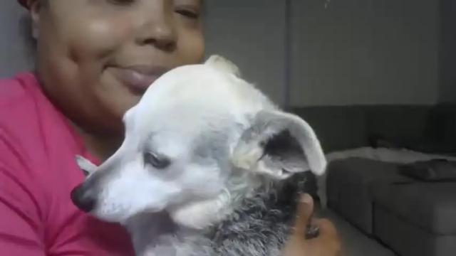 Image 8 of jccaramelbarbie12 Stream on Chaturbate on 15 months ago