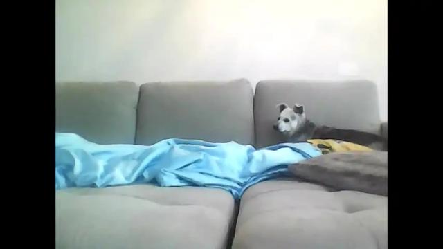 Image 11 of jccaramelbarbie12 Stream on Chaturbate on 1 month ago