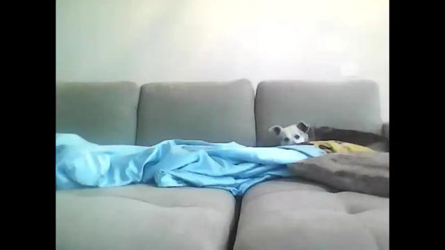 Thumbnail 3, jccaramelbarbie12's Stream at Chaturbate, 1 month ago