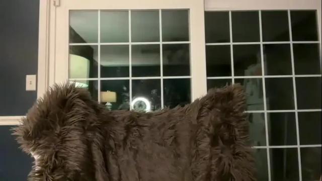 Image 6 of jellybeanin Stream on Chaturbate on 5 months ago