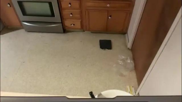 Thumbnail 3, jellybeanin's Stream at Chaturbate, 1 month ago