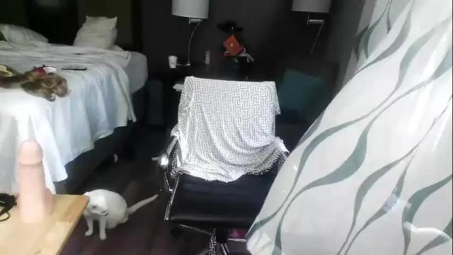Image 7 of jennacd4life Stream on Chaturbate on 3 months ago