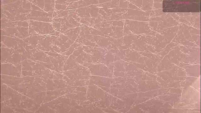 Thumbnail 3, jenner_mills's Stream at Chaturbate, 1 month ago