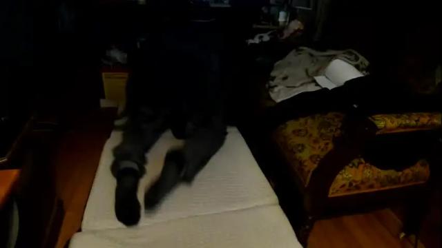 Image 12 of jenovakitty Stream on Chaturbate on 1 month ago