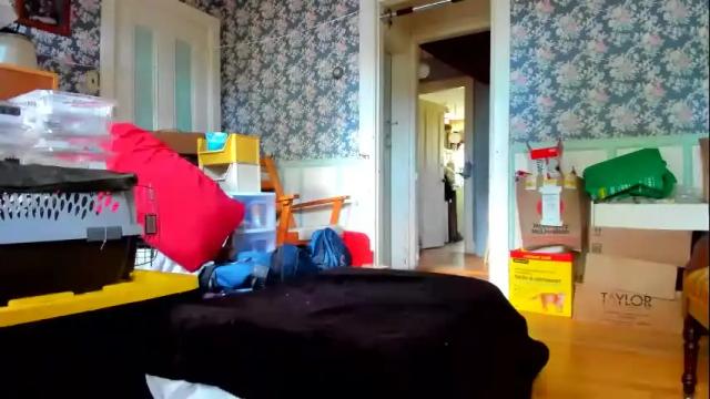 Image 2 of jenovakitty Stream on Chaturbate on 3 months ago