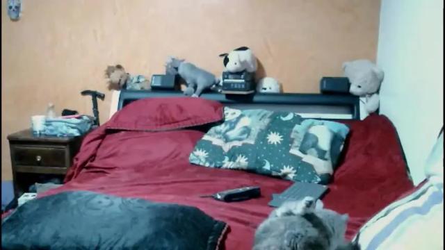 Image 12 of jeny_bel Stream on Chaturbate on 2 months ago
