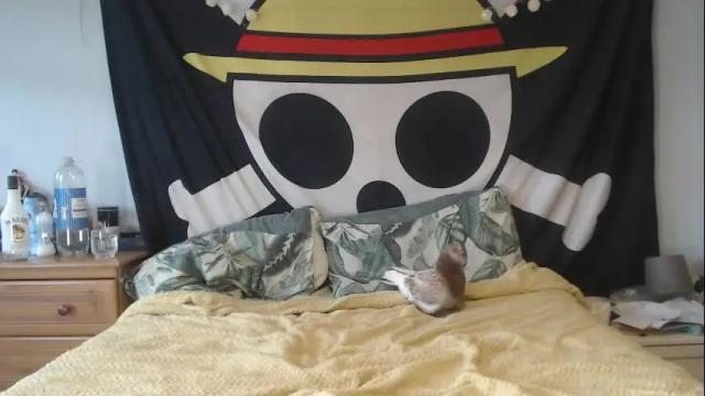 Image 3 of jessemanx Stream on Chaturbate on 6 months ago