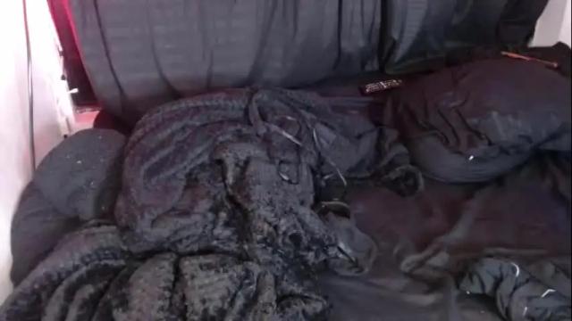 Image 7 of jessie_wild Stream on Chaturbate on 23 days ago