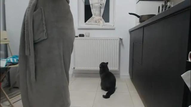 Image 6 of jessiexryan Stream on Chaturbate on 1 month ago