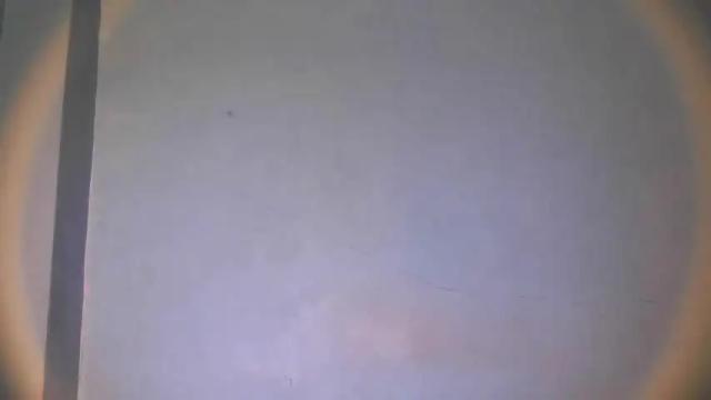 Image 3 of jetfox09 Stream on Chaturbate on 16 months ago