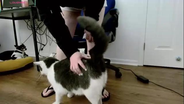 Image 3 of jjjust4fun1985 Stream on Chaturbate on 1 month ago