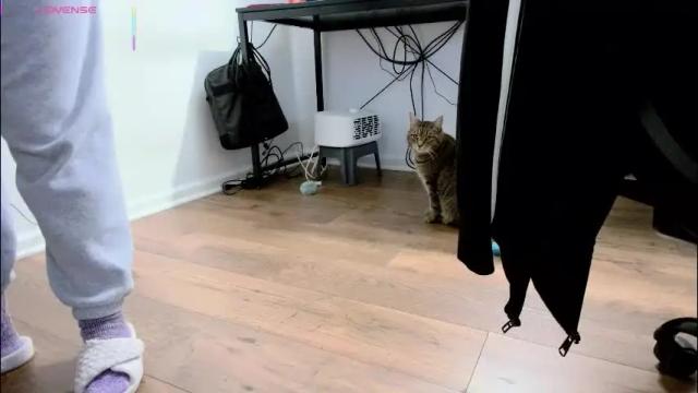 Thumbnail 1, jjjust4fun1985's Stream at Chaturbate, 26 days ago