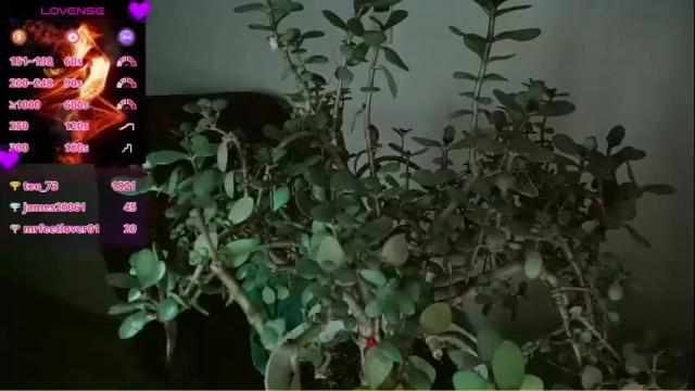 Image 12 of joanne_star Stream on Chaturbate on 20 days ago