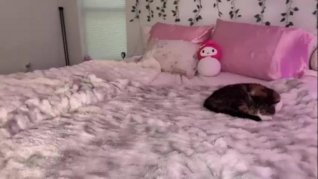Image 10 of jocelyynn Stream on Chaturbate on 1 month ago