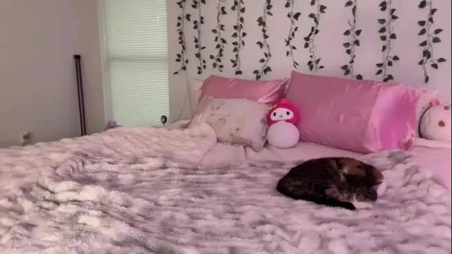 Image 11 of jocelyynn Stream on Chaturbate on 1 month ago
