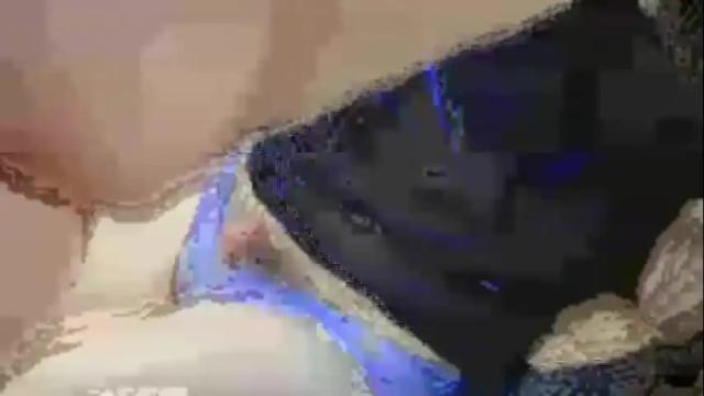 Image 7 of jojofoxpuppy Stream on Chaturbate on 1 month ago