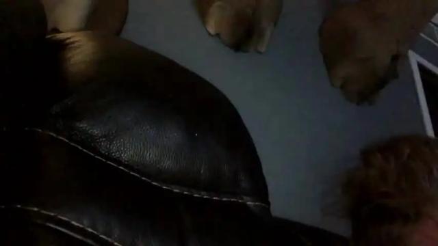 Image 3 of joshua122933 Stream on Chaturbate on 16 months ago