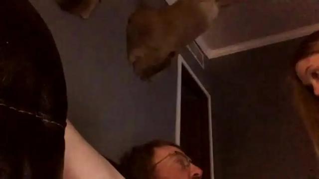 Image 4 of joshua122933 Stream on Chaturbate on 16 months ago