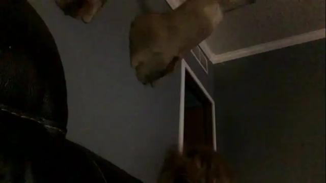 Thumbnail 2, joshua122933's Stream at Chaturbate, 16 months ago