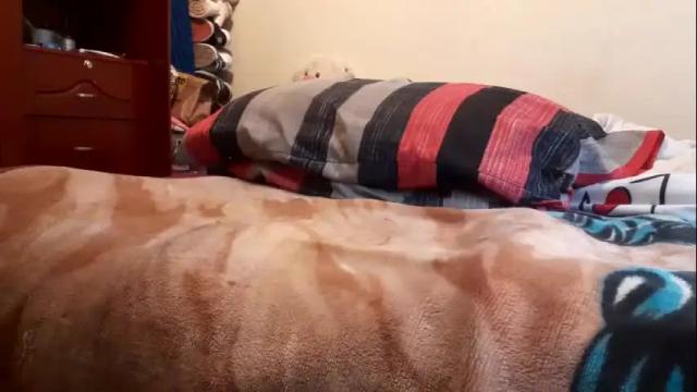 Thumbnail 1, juanchito393's Stream at Chaturbate, 2 months ago