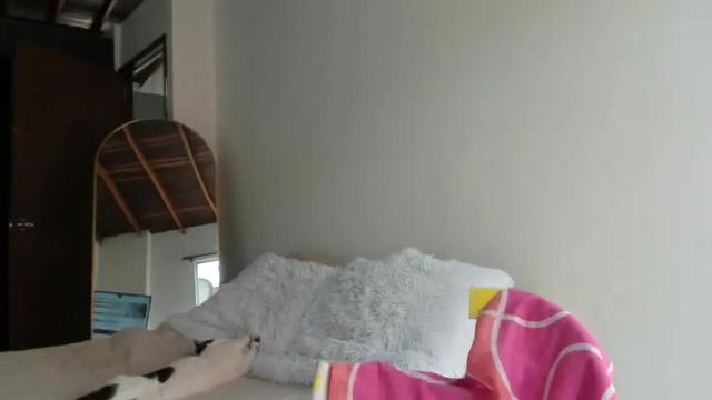 Image 3 of juieth_gv Stream on Chaturbate on 14 months ago
