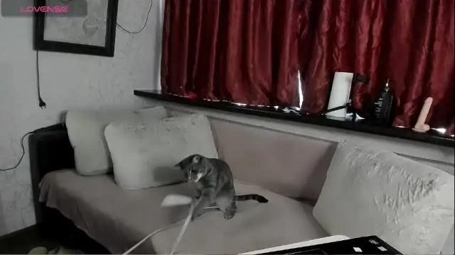 Image 3 of jule_trill Stream on Chaturbate on 1 month ago