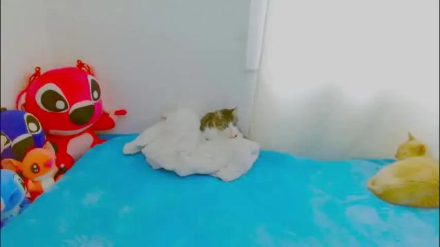 Thumbnail 2, juli_69's Stream at Chaturbate, 5 days ago