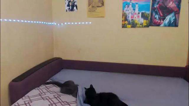 Image 8 of juliasane_ Stream on Chaturbate on 2 months ago