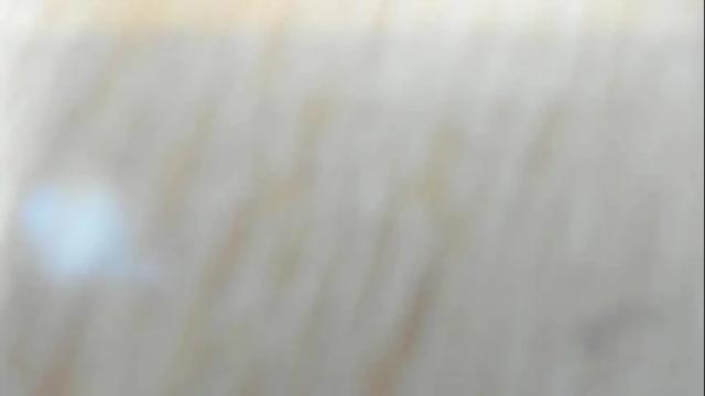 Image 6 of julietakane Stream on Chaturbate on 1 month ago